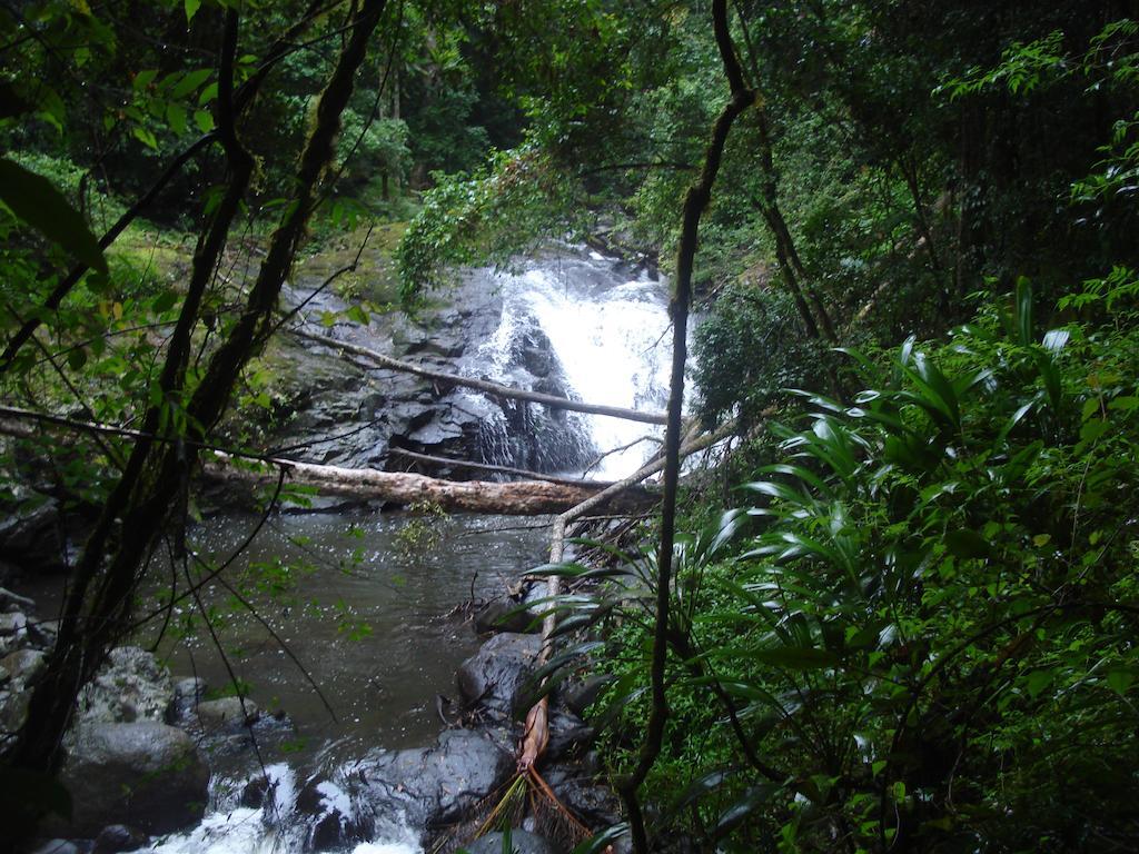 Christmas Creek Cafe & Cabins Lamington 외부 사진
