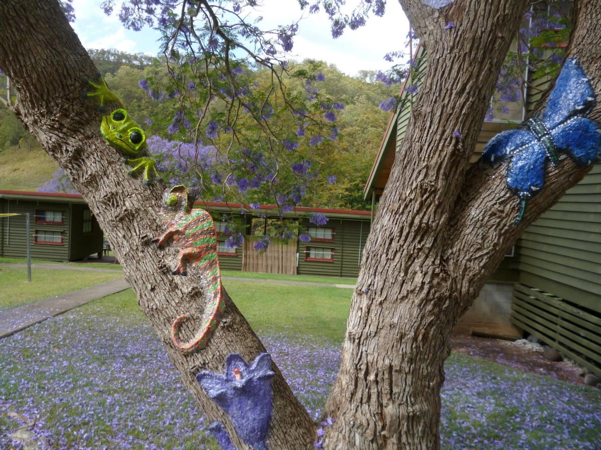 Christmas Creek Cafe & Cabins Lamington 외부 사진