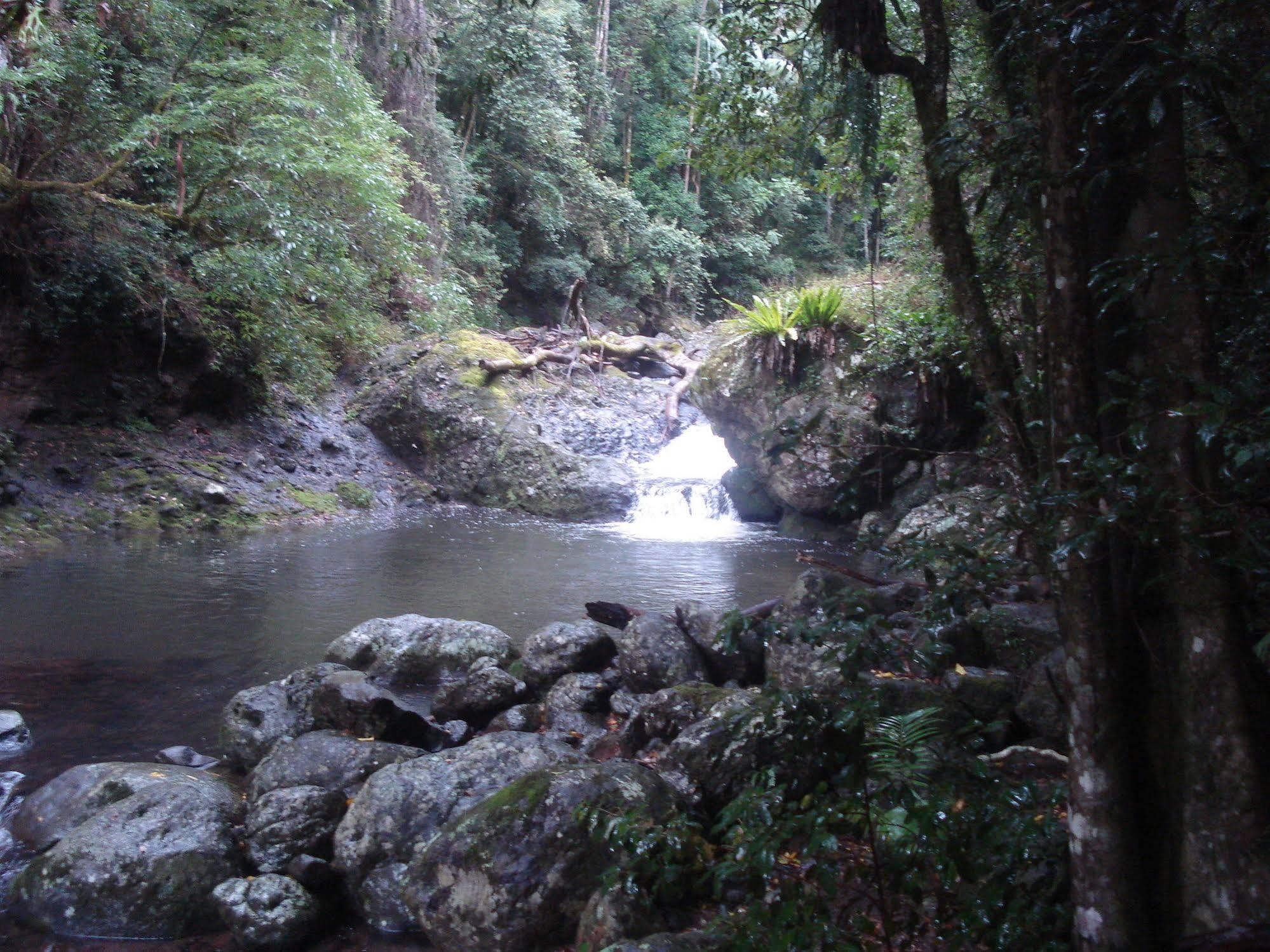 Christmas Creek Cafe & Cabins Lamington 외부 사진